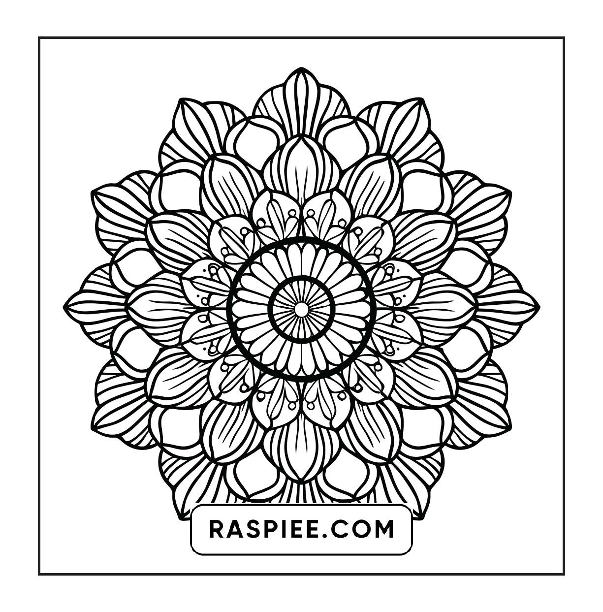 250 Mandala Adult Coloring Pages Vol.1