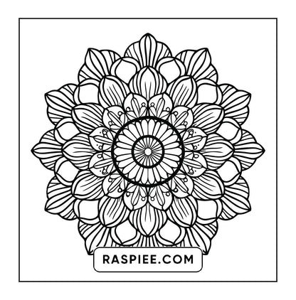 250 Mandala Adult Coloring Pages Vol.1