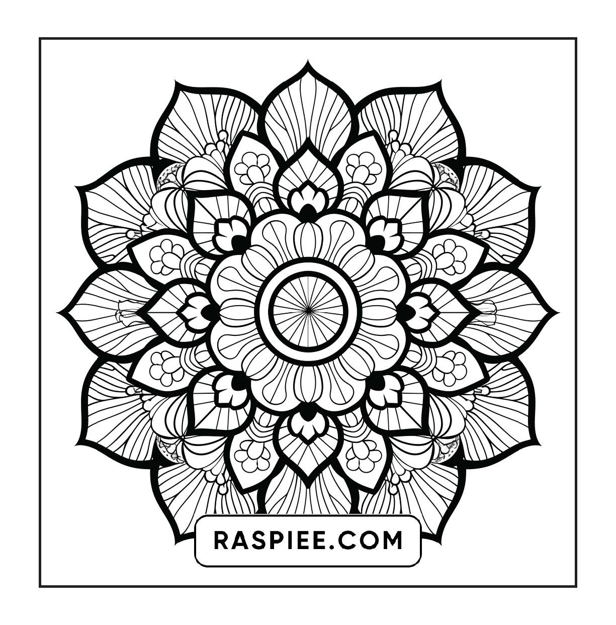 250 Mandala Adult Coloring Pages Vol.1
