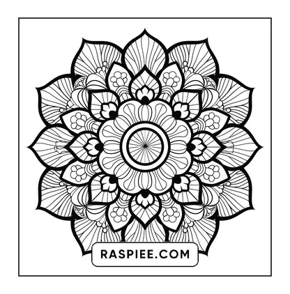 250 Mandala Adult Coloring Pages Vol.1