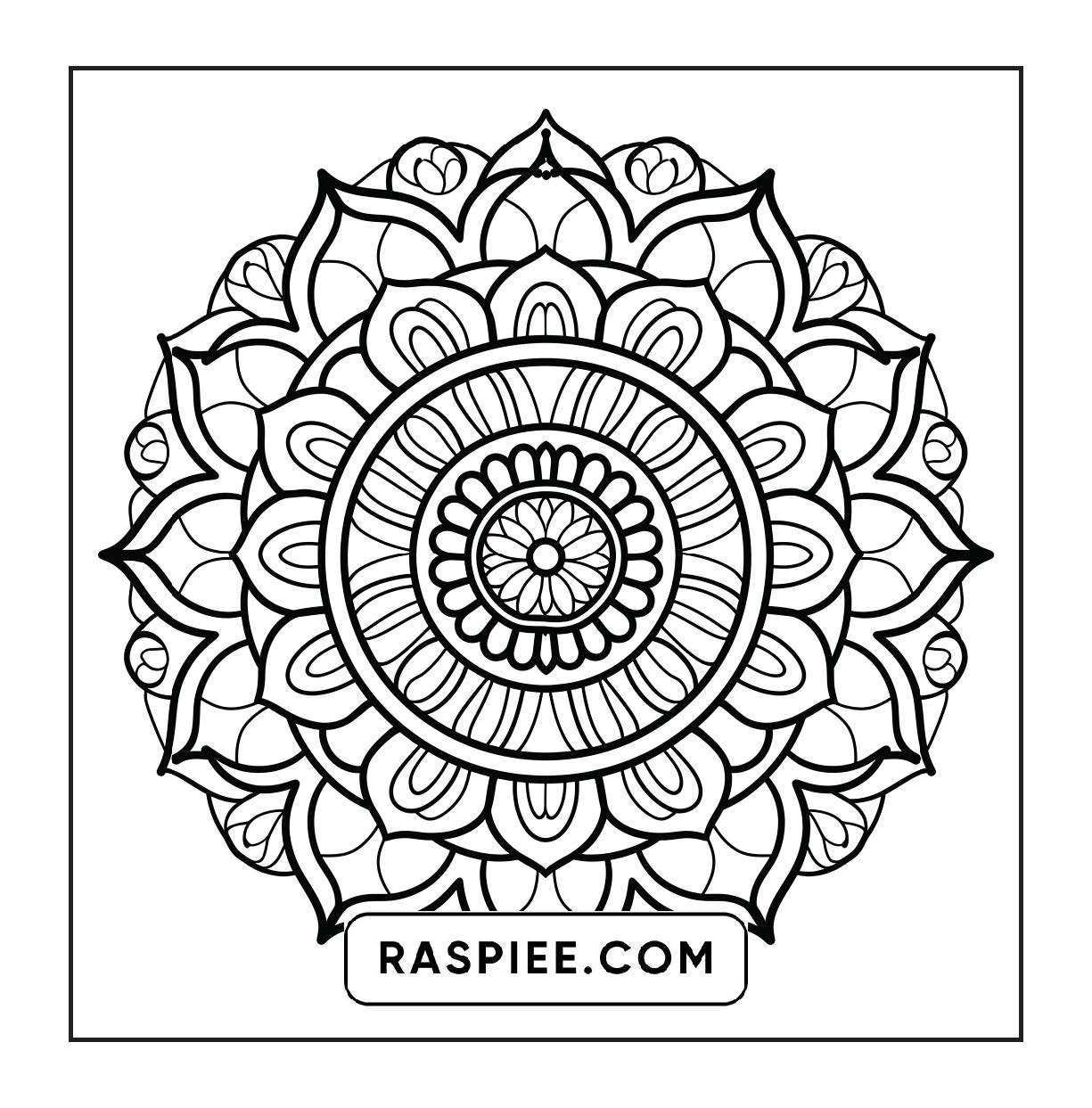 250 Mandala Adult Coloring Pages Vol.1