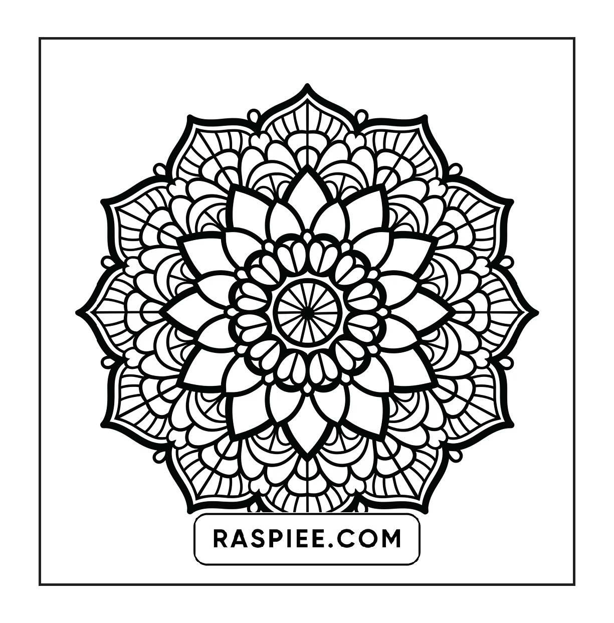 250 Mandala Adult Coloring Pages Vol.1
