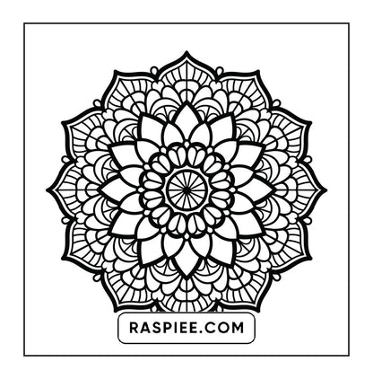 250 Mandala Adult Coloring Pages Vol.1