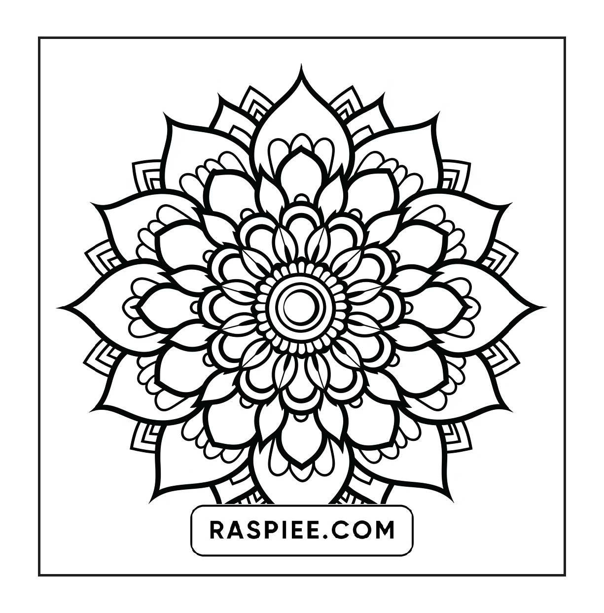 250 Mandala Adult Coloring Pages Vol.1