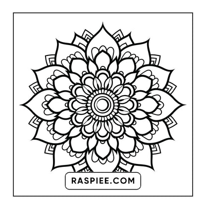 250 Mandala Adult Coloring Pages Vol.1
