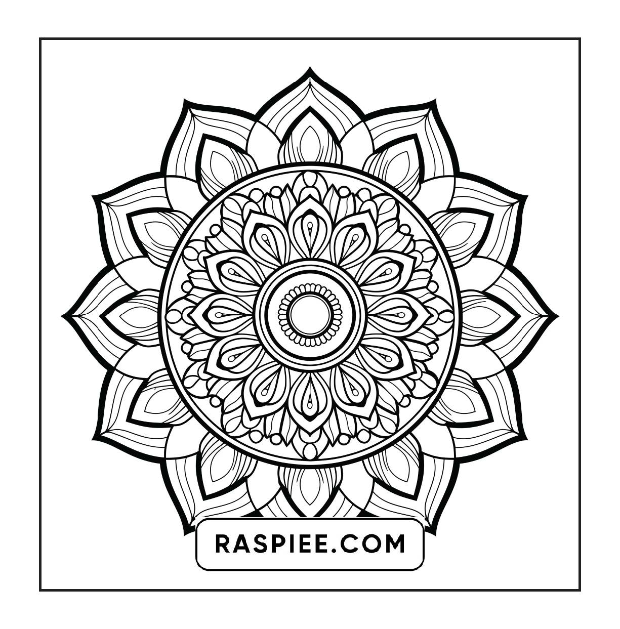 250 Mandala Adult Coloring Pages Vol.1