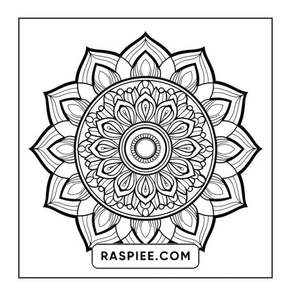 250 Mandala Adult Coloring Pages Vol.1