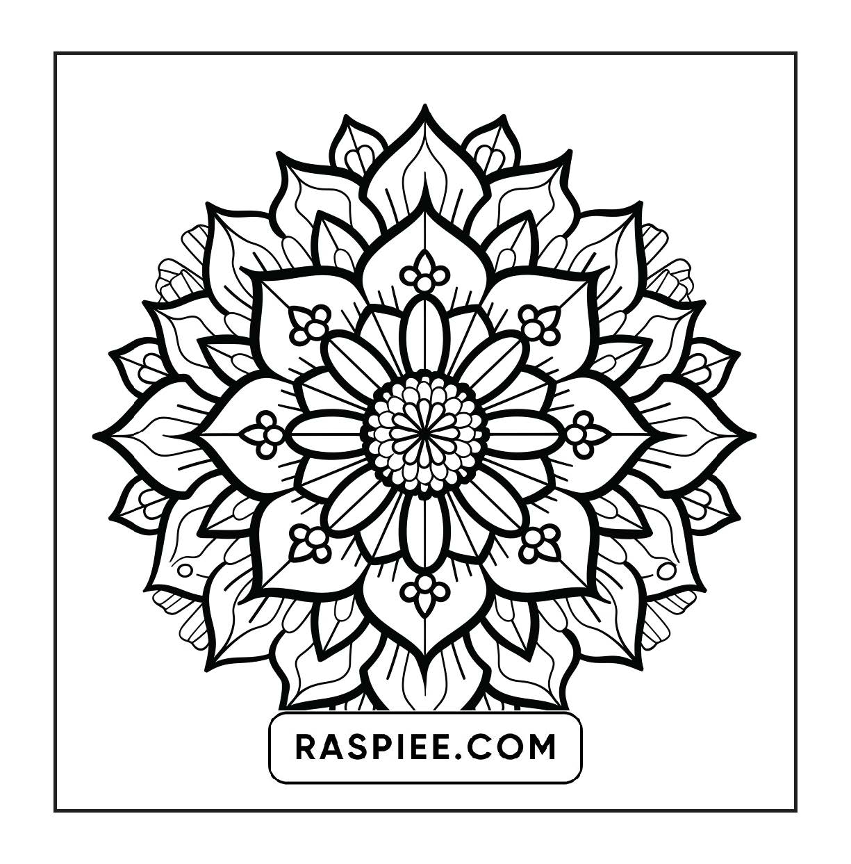250 Mandala Adult Coloring Pages Vol.1