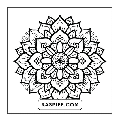 250 Mandala Adult Coloring Pages Vol.1