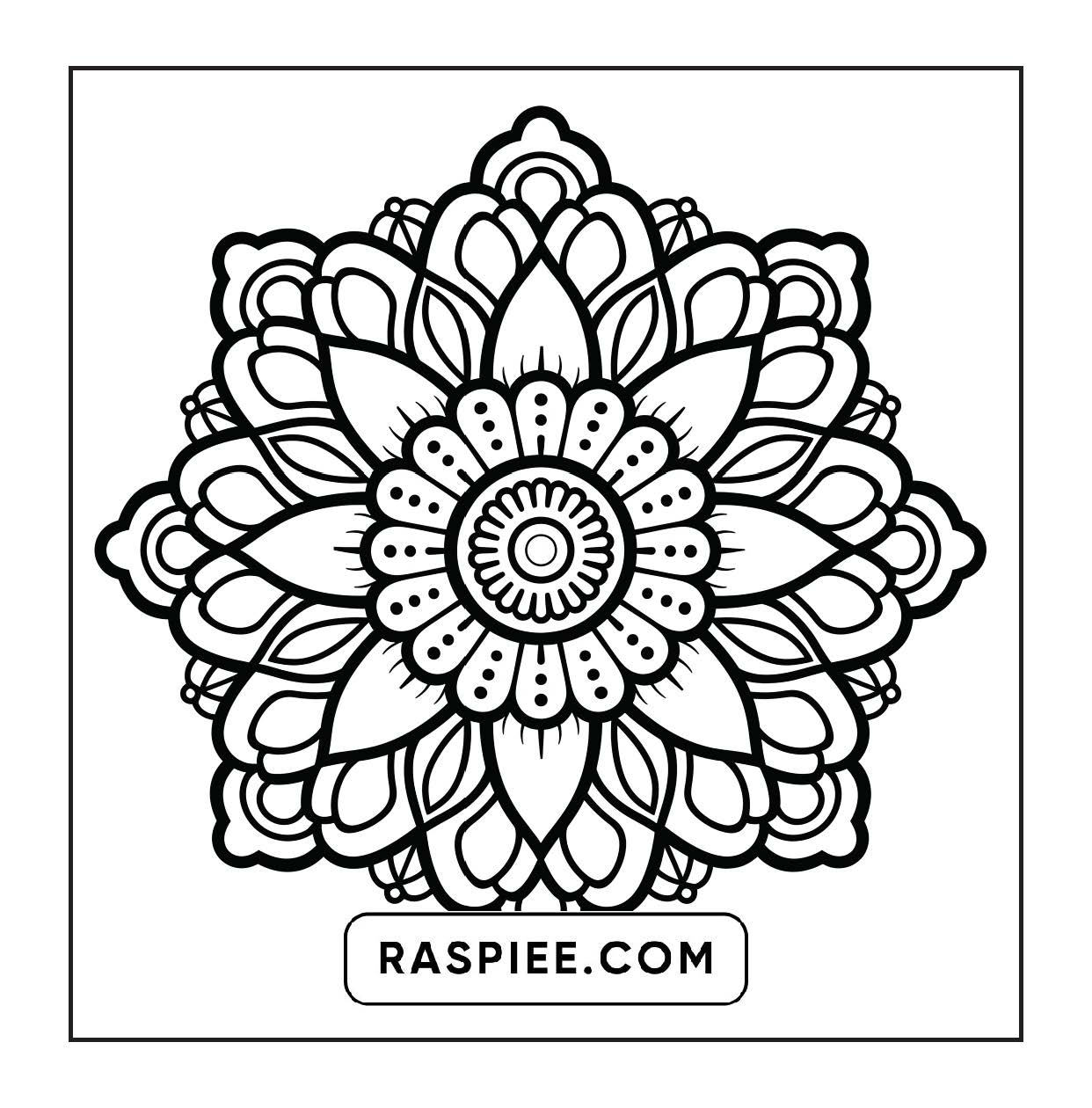 250 Mandala Adult Coloring Pages Vol.1