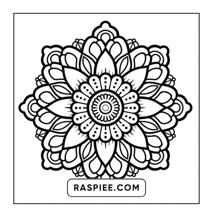 250 Mandala Adult Coloring Pages Vol.1