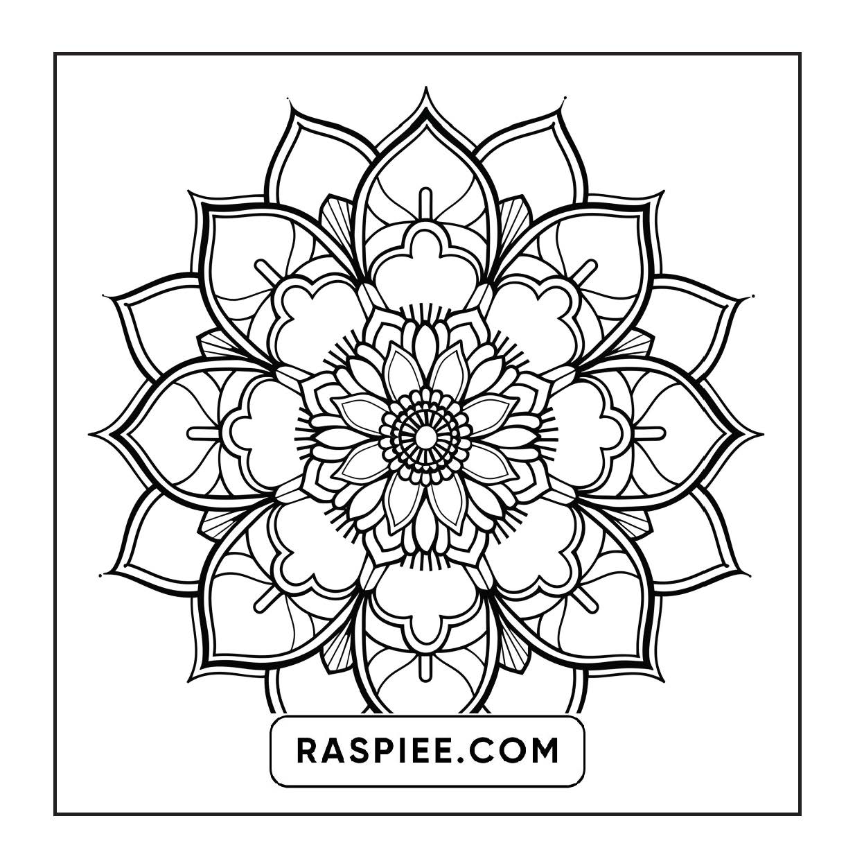 250 Mandala Adult Coloring Pages Vol.1