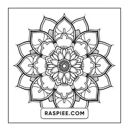 250 Mandala Adult Coloring Pages Vol.1