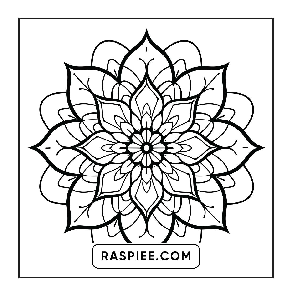 250 Mandala Adult Coloring Pages Vol.1