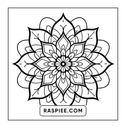250 Mandala Adult Coloring Pages Vol.1