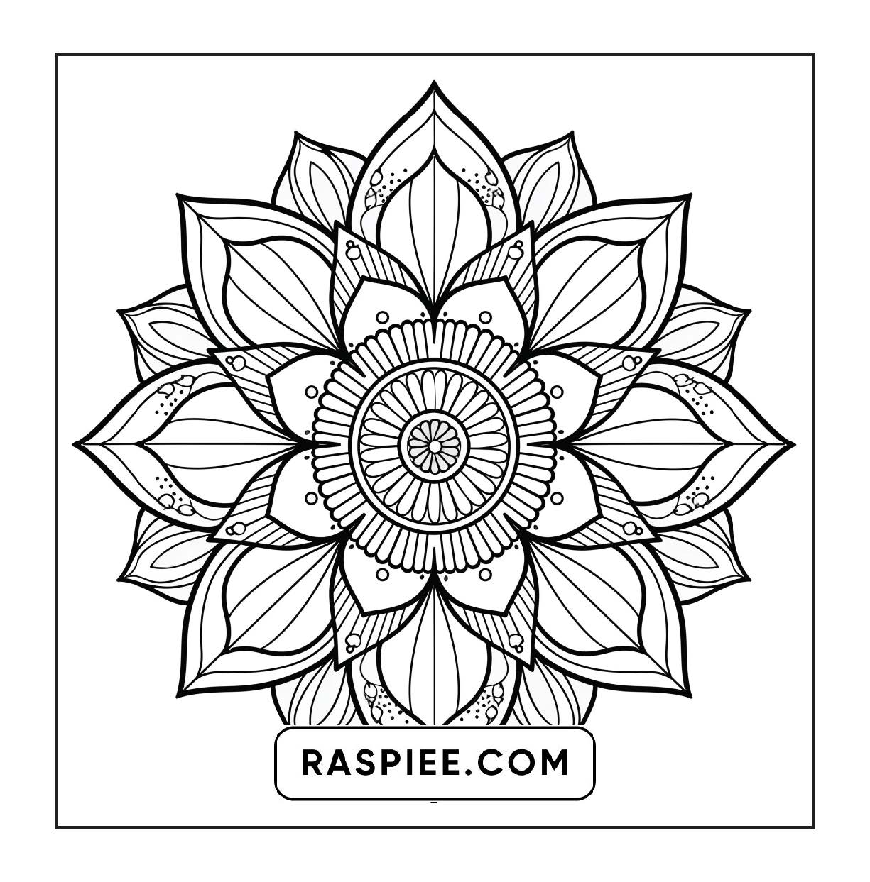 250 Mandala Adult Coloring Pages Vol.1