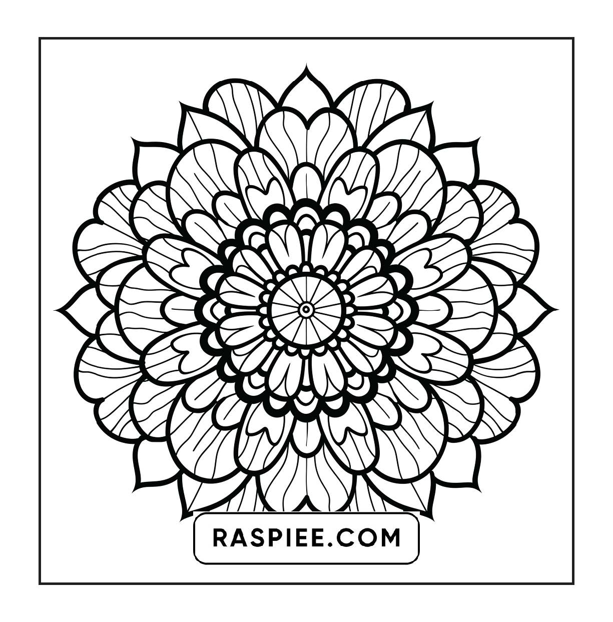250 Mandala Adult Coloring Pages Vol.1