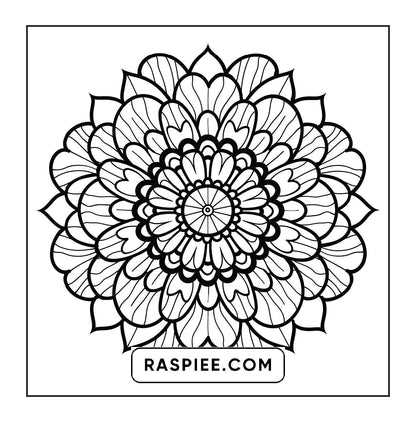 250 Mandala Adult Coloring Pages Vol.1