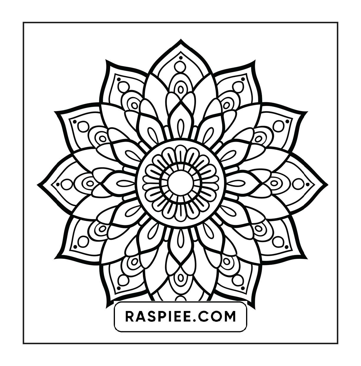 250 Mandala Adult Coloring Pages Vol.1