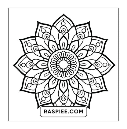 250 Mandala Adult Coloring Pages Vol.1