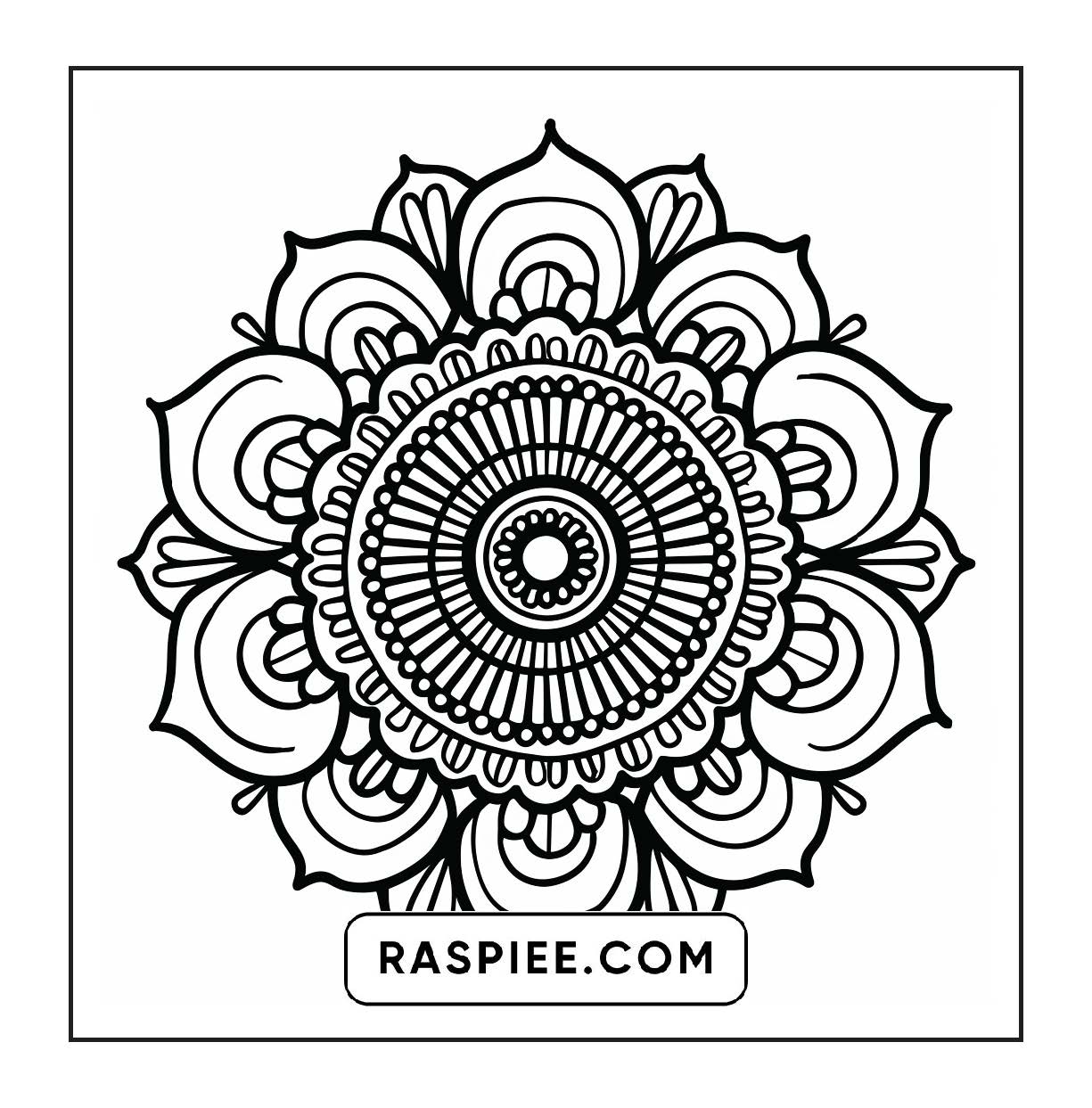 250 Mandala Adult Coloring Pages Vol.1