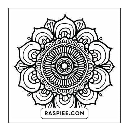 250 Mandala Adult Coloring Pages Vol.1