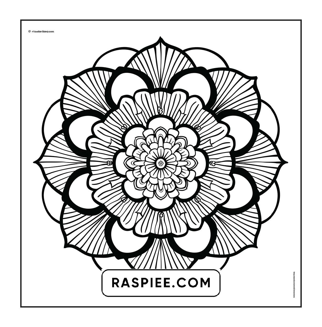 250 Mandala Adult Coloring Pages Vol.1