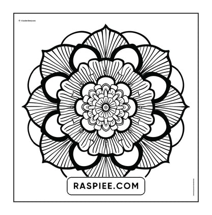250 Mandala Adult Coloring Pages Vol.1