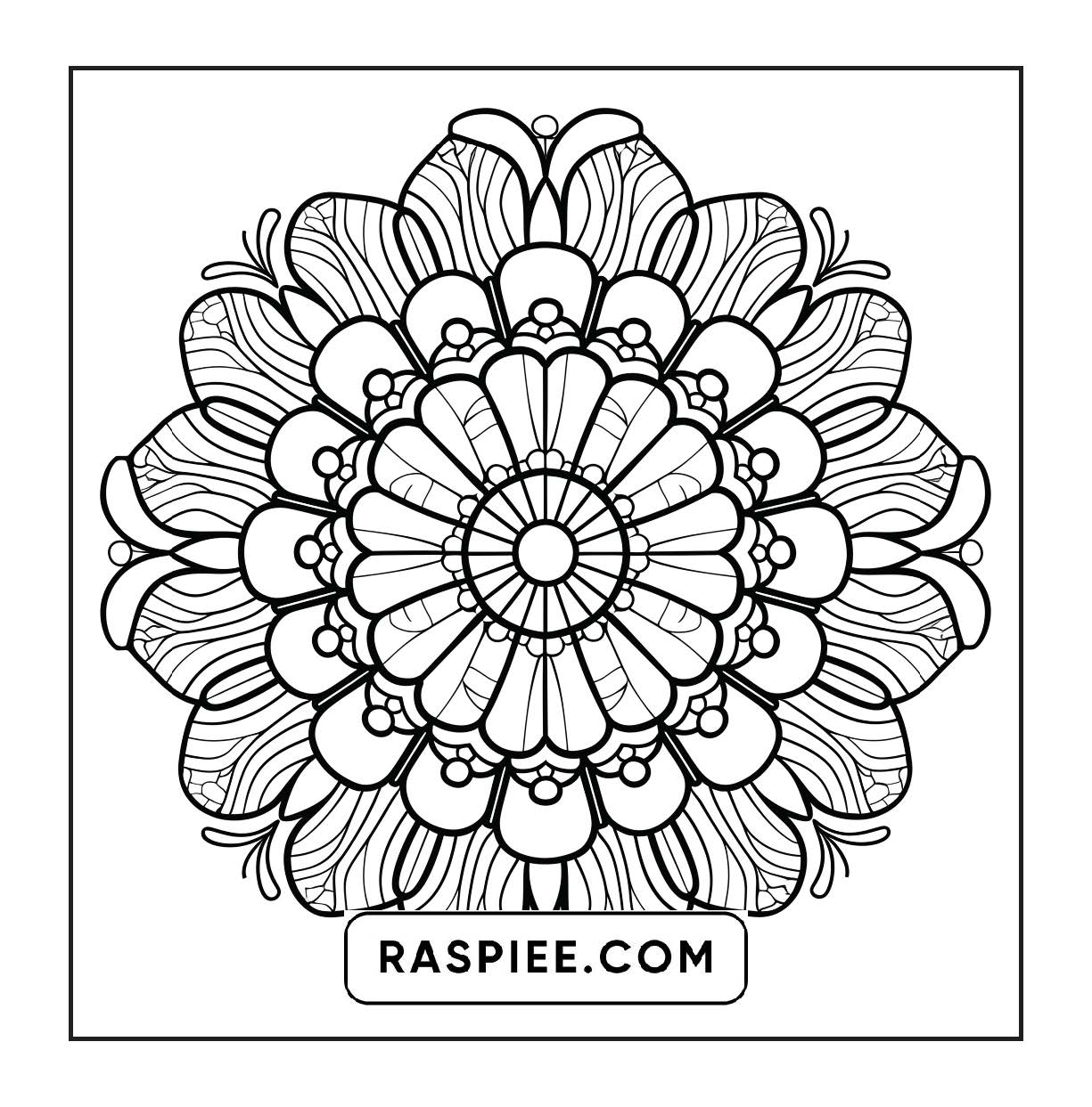 250 Mandala Adult Coloring Pages Vol.1