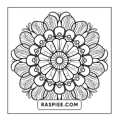 250 Mandala Adult Coloring Pages Vol.1