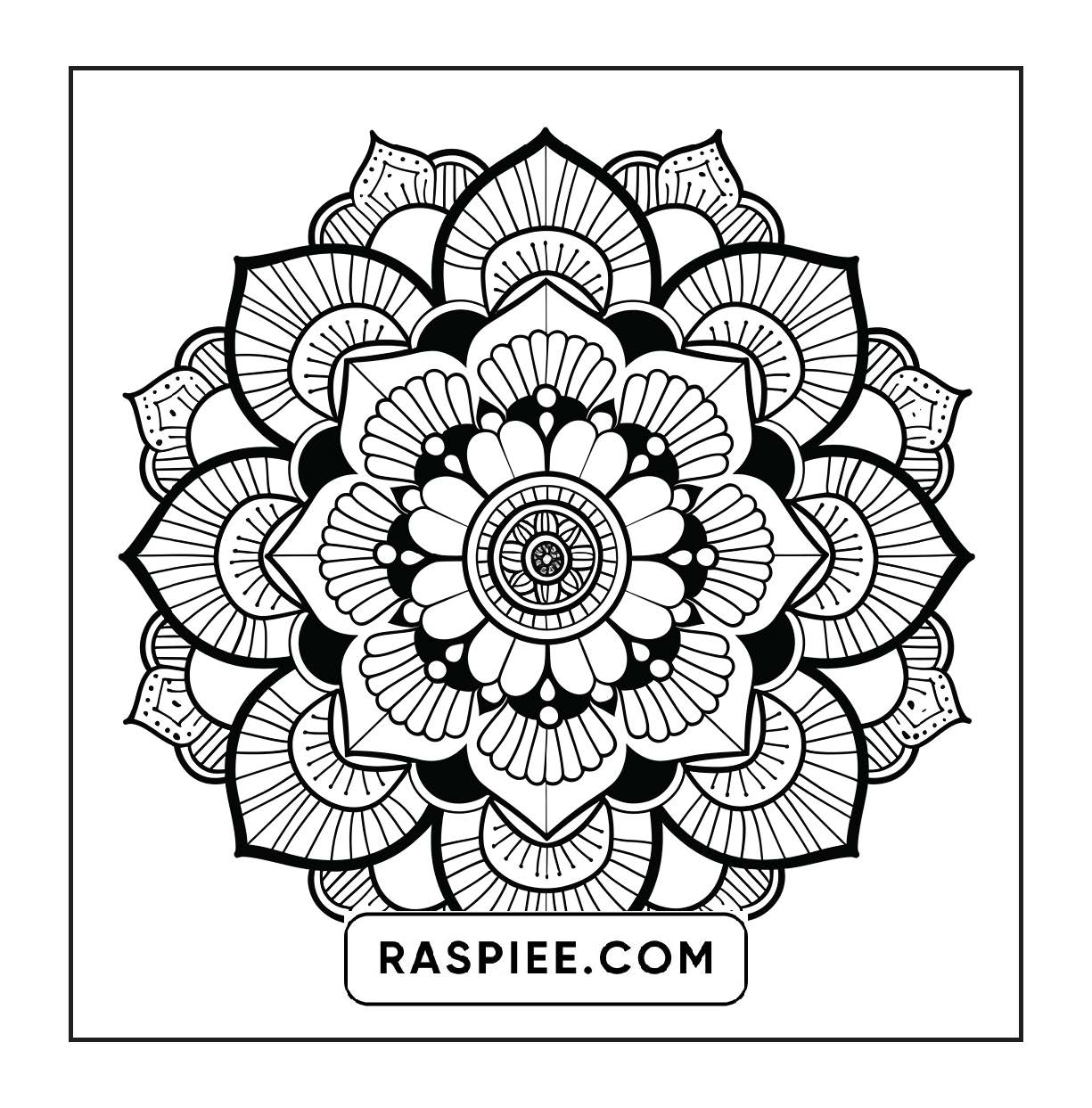 250 Mandala Adult Coloring Pages Vol.1