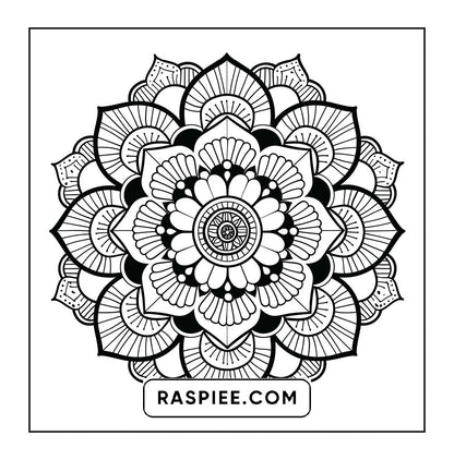 250 Mandala Adult Coloring Pages Vol.1