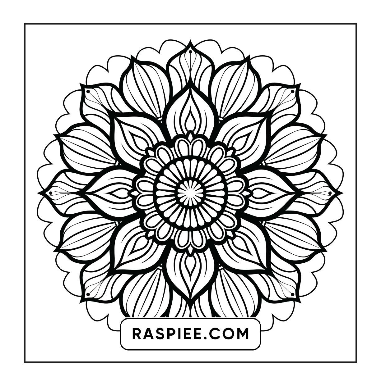 250 Mandala Adult Coloring Pages Vol.1