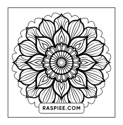 250 Mandala Adult Coloring Pages Vol.1