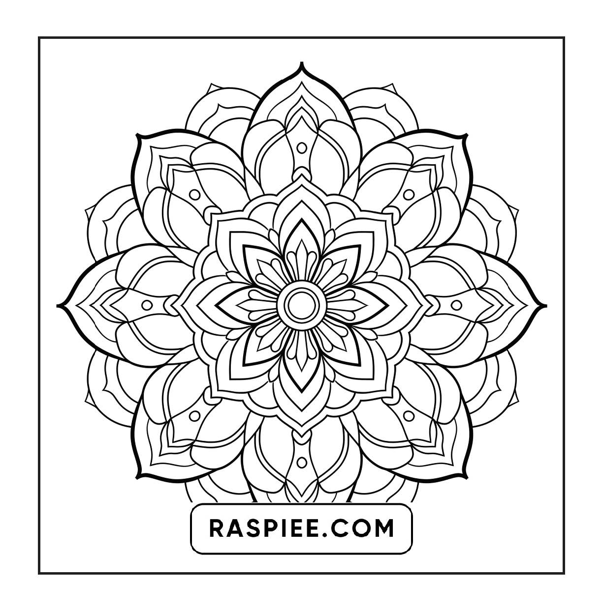 250 Mandala Adult Coloring Pages Vol.1
