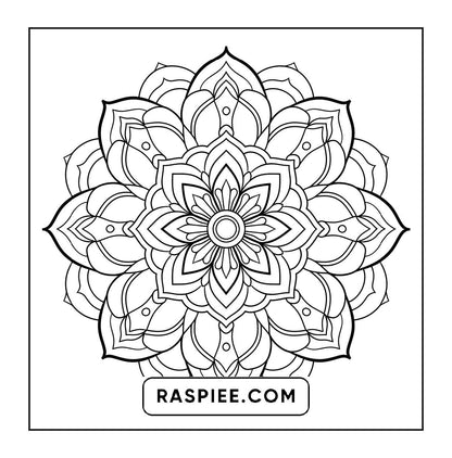 250 Mandala Adult Coloring Pages Vol.1