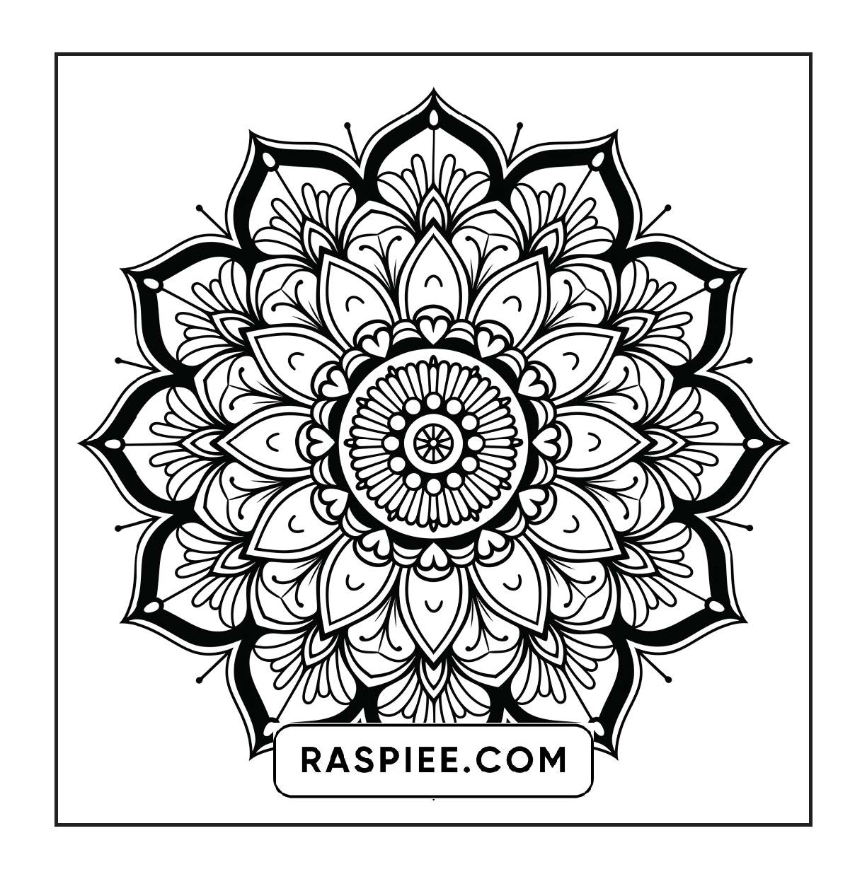 250 Mandala Adult Coloring Pages Vol.1