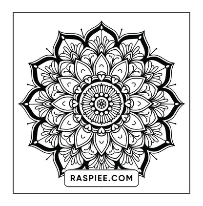 250 Mandala Adult Coloring Pages Vol.1