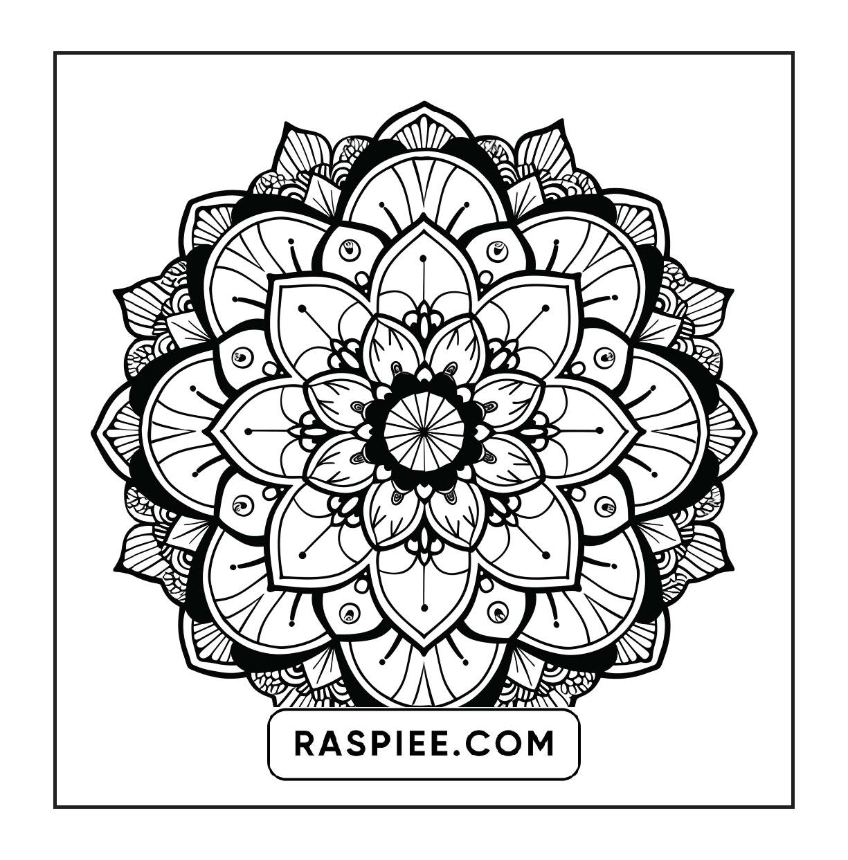 250 Mandala Adult Coloring Pages Vol.1