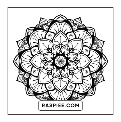 250 Mandala Adult Coloring Pages Vol.1