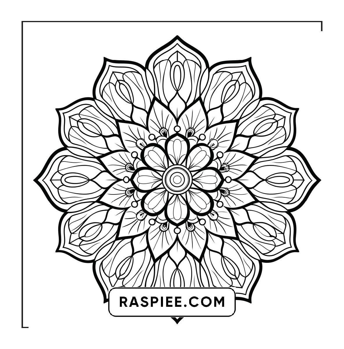 250 Mandala Adult Coloring Pages Vol.1
