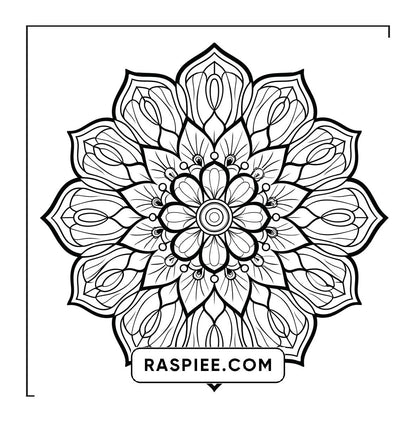 250 Mandala Adult Coloring Pages Vol.1