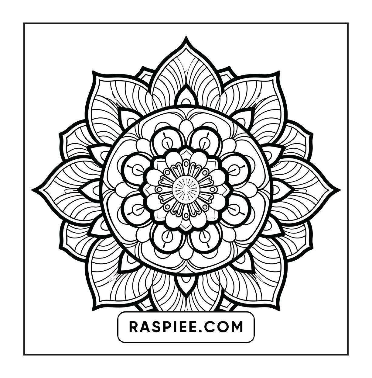 250 Mandala Adult Coloring Pages Vol.1