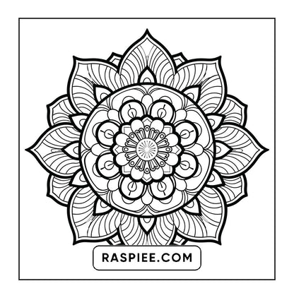 250 Mandala Adult Coloring Pages Vol.1