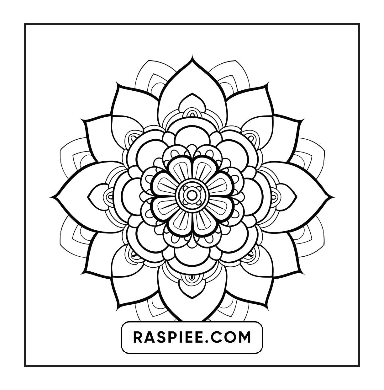 250 Mandala Adult Coloring Pages Vol.1