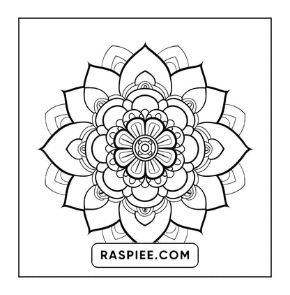 250 Mandala Adult Coloring Pages Vol.1