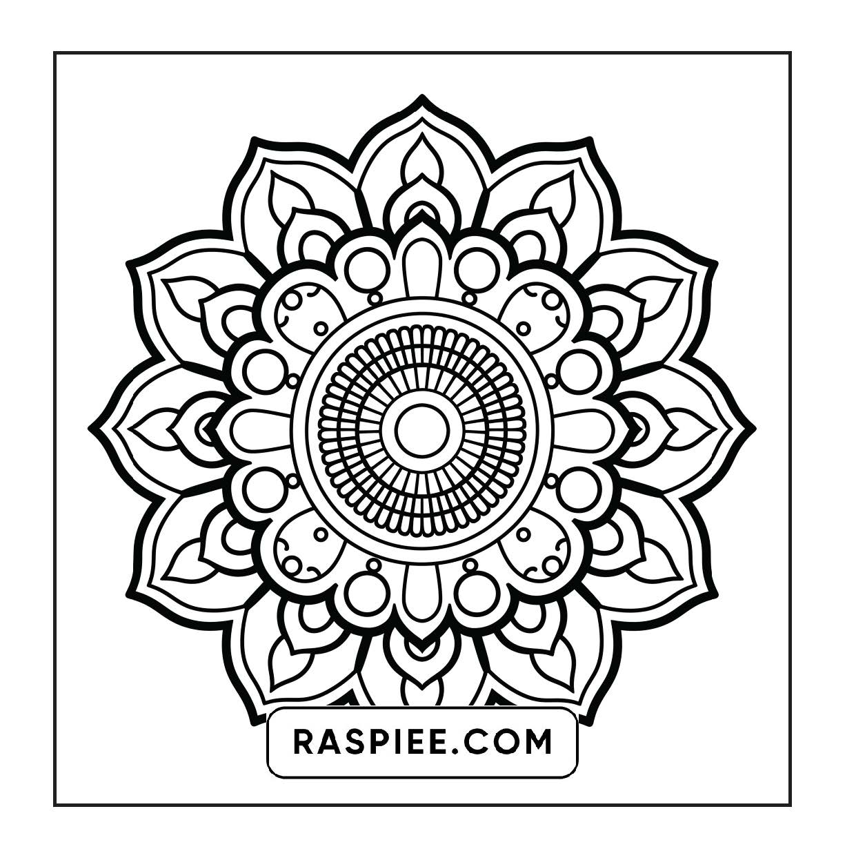 250 Mandala Adult Coloring Pages Vol.1