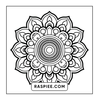 250 Mandala Adult Coloring Pages Vol.1