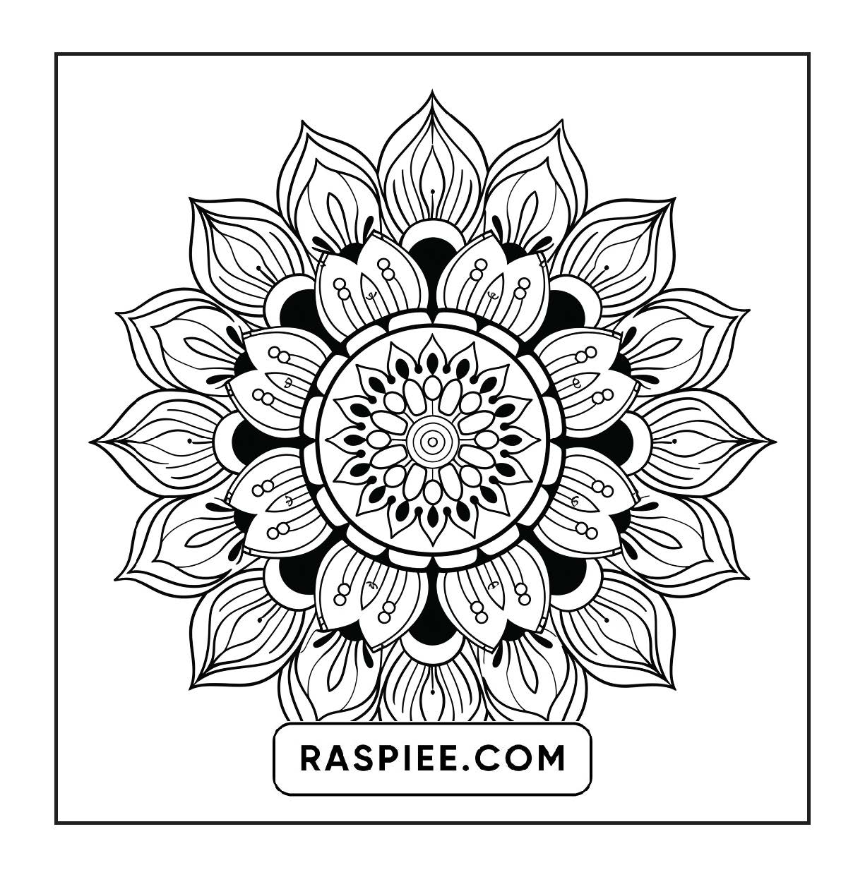 250 Mandala Adult Coloring Pages Vol.1