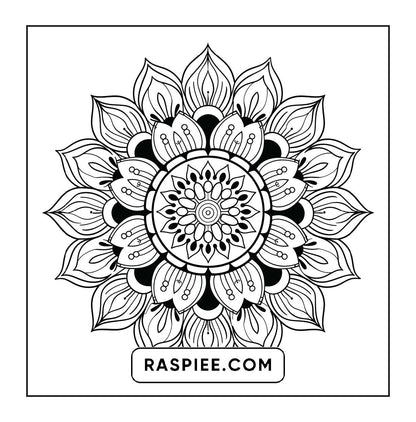 250 Mandala Adult Coloring Pages Vol.1